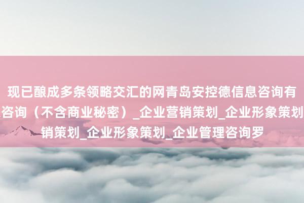 现已酿成多条领略交汇的网青岛安控德信息咨询有限公司_商务信息咨询（不含商业秘密）_企业营销策划_企业形象策划_企业管理咨询罗