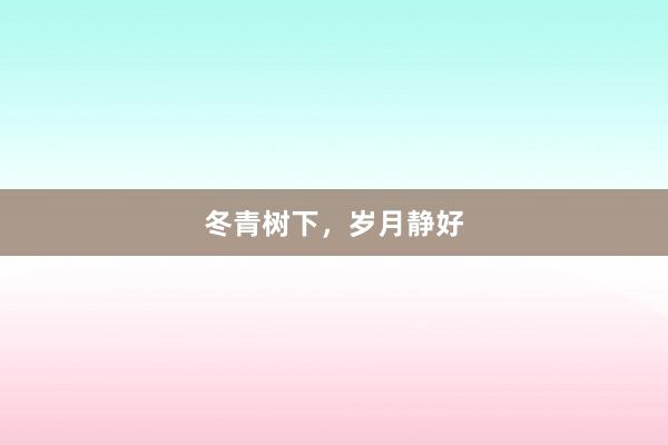 冬青树下，岁月静好