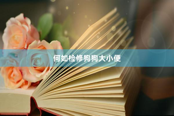 何如检修狗狗大小便