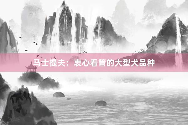 马士提夫：衷心看管的大型犬品种